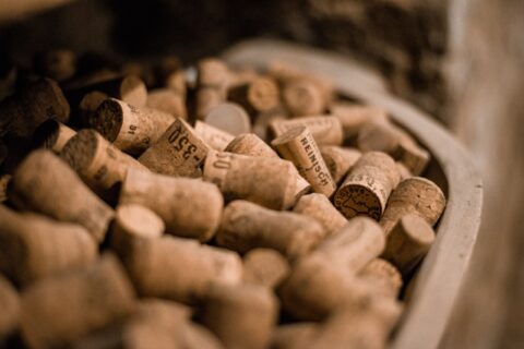 Hidden Wine Cellar Tour Vienna
