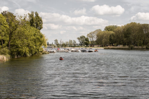 Rowing Vienna